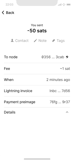 Smartphone screen showing a completed lightning payment with extended technical details